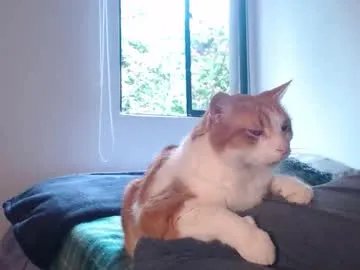 breakfastwithtiffanys — How Was Ur Monday? Just Chill With Your Fav  #WifeMaterial  #Nonude Show! #JOI  #CEI #C2C JOIN TO FC & TG  -- Current Goal: If U love My Dress at 100 tokens