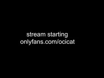 ocicat on Chaturbate 