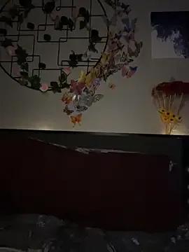 _Neeka_ — connect domi toy