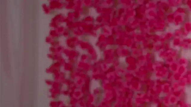 BlancaTruog — Take of jeans