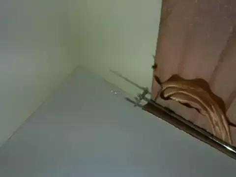 Ebony_jojo on StripChat