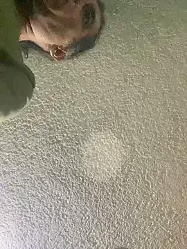 Effyvice13 on StripChat 