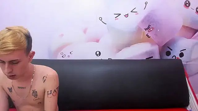 Model In_my_room_anything_goes