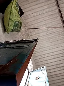 Payal950 on StripChat