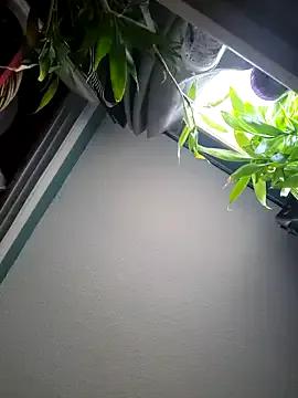 SexyNikki6969 on StripChat