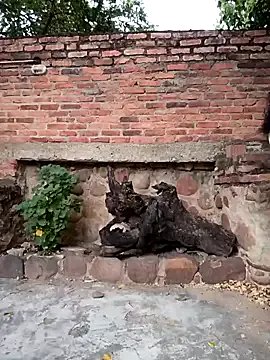 sweet_outdoor_charm on StripChat 