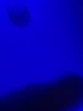 yummy_sweet_caramel on StripChat 